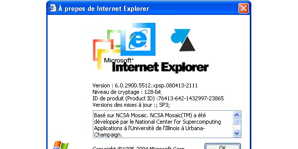 Pourquoi Internet Explorer 6 est-il encore tant utilisé ?