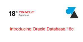 Introducion Oracle Database 18c pdf