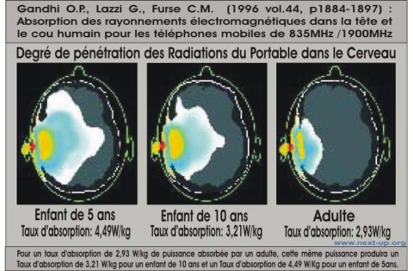 DAS smartphone enfant bebe adulte