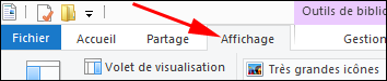 Windows 8 explorateur fichiers menu options Affichage