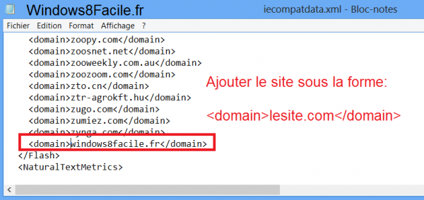 Ajout site IE10 Flash