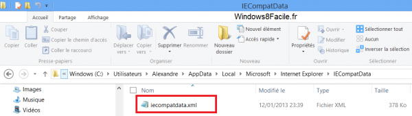 fichier compatibilité flash Windows 8 Flash
