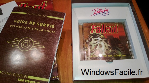 Fallout Dos - Windows 8