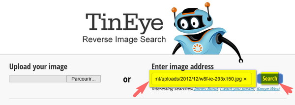 recherche image url tineye