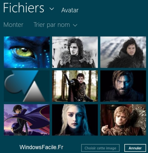 Choix avatar Windows 8