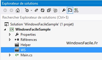 Visual Studio fichier exclu