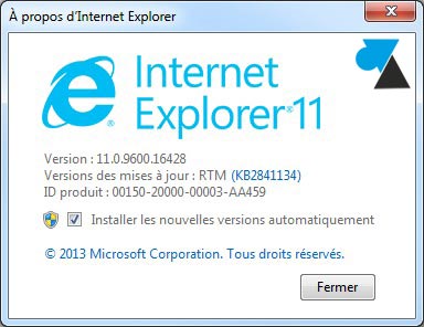 IE11 Internet Explorer 11