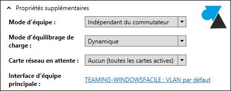 NIC teaming trunk option