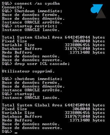 sqlplus oracle drop user restrict