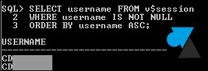 tutoriel Oracle SQL Plus voir sessions
