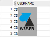 tutoriel Oracle SQL Developer voir sessions