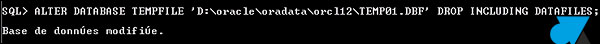 ALTER DATABASE TEMPFILE TEMP01.DBF DROP INCLUDING DATAFILES