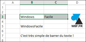 tutoriel texte barré barrer Excel Microsoft Office