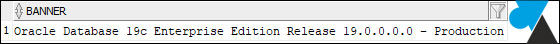 version oracle 19c 19 database