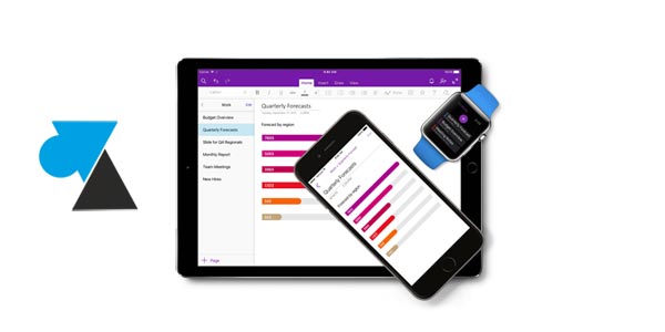 WF OneNote tutoriel