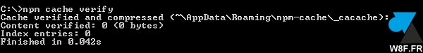tutoriel npm cache verify after clean up clear