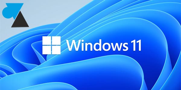 WF Windows 11 logo