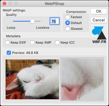 google webp photoshop