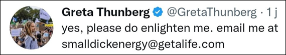 tweet Andrew Tate Greta Thunberg