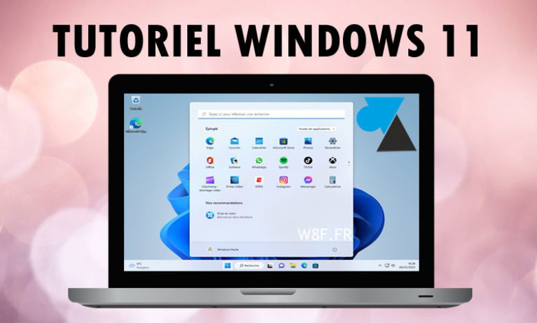 WF tutoriel Windows 11 W11 rose