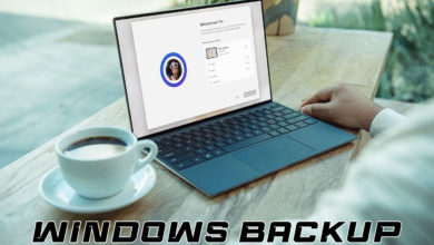 WF Windows Backup logiciel sauvegarde Windows 11