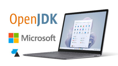 WF OpenJDK Microsoft