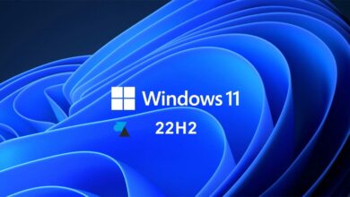 WF Windows 11 22H2