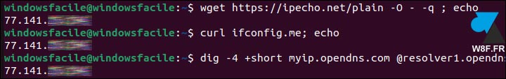 ip publique wget curl dig linux