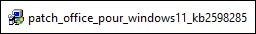 patch gratuit office windows 11