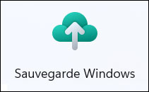 Sauvegarde Windows icone