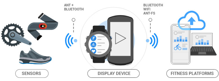 garmin fit capteur