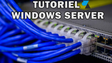 WF tutoriel Windows Server reseau