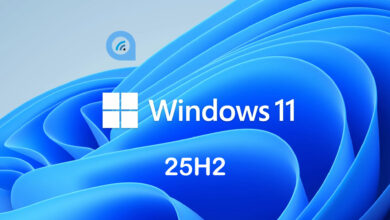 Windows 11 25H2 wallpaper
