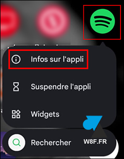 google pixel info appli