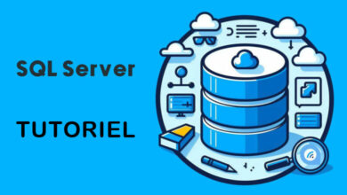 tutoriel sql server wf