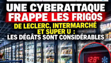 attaque frigo