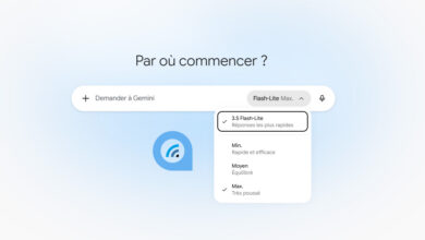 gemini flash lite max gratuit
